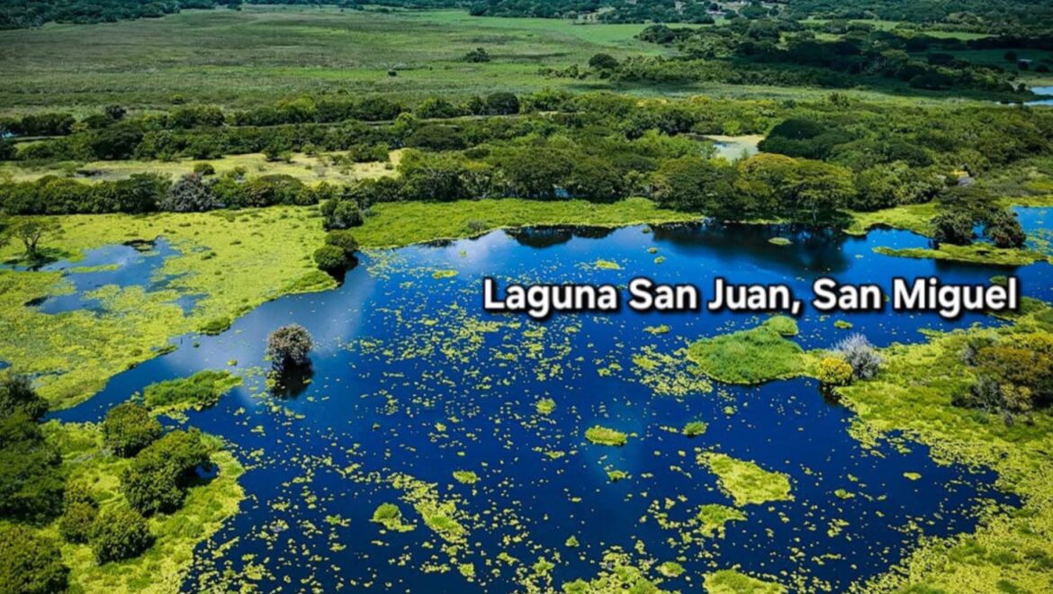 Foto 16-8-25, 6 21 56 p m